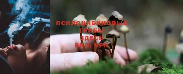 дживик Карталы