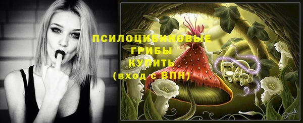 каннабис Каменка