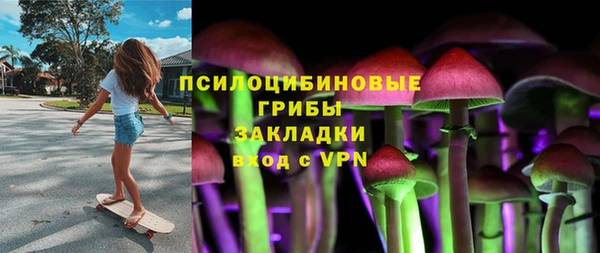 винт Каменногорск
