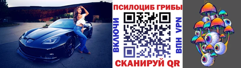 Купить где  Лабытнанги  Галлюциногенные грибы Psilocybe 